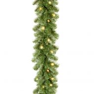 National Tree 9 Kincaid Spruce Garland with Clear Lights