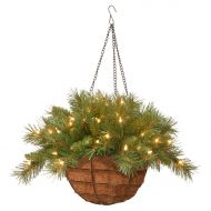 National Tree 20 Tiffany Fir Hanging Basket with 50 Warm White LED Battery Lights with Timer