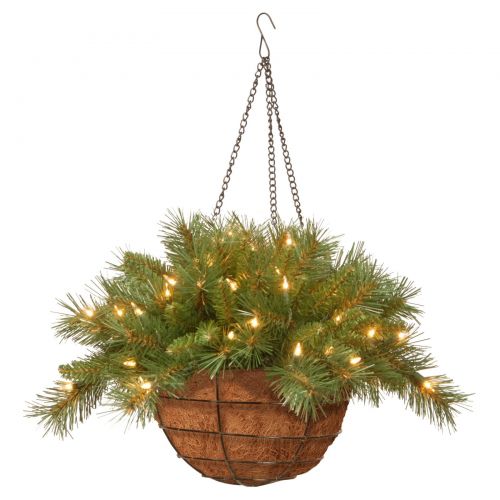  National Tree 20 Tiffany Fir Hanging Basket with 50 Warm White LED Battery Lights with Timer