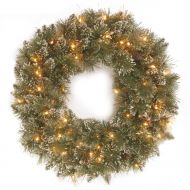 National Tree 24 Glittery Bristle Pine Wreath with 50 Clear Lights