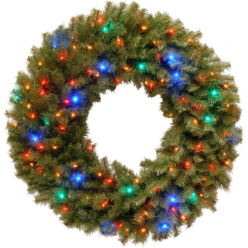  National Tree Company National Tree 24 Inch Norwood Fir Wreath with 50 Concave Multicolor LED Lights (NF-309L-24W-1)