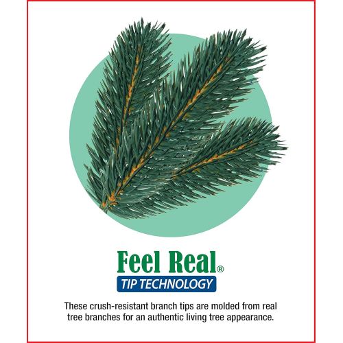  National Tree Company National Tree 30 Inch Feel Real Downswept Douglas Fir Wreath with 100 Warm White LED Lights (PEDD8-312L-30W)