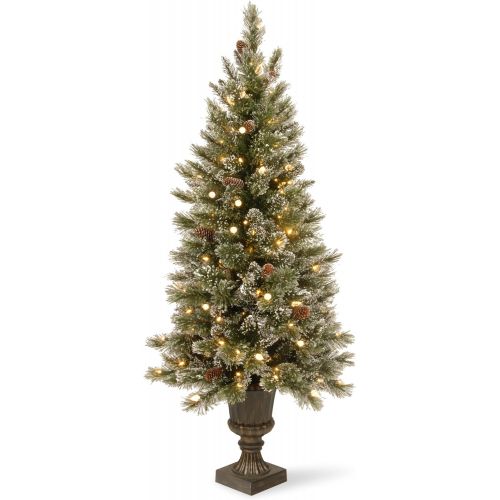  National Tree Company National Tree 5 Foot Glittery Bristle Pine Entrance Tree with 150 Soft White LED Lights (GB3-326-50)