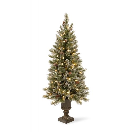  National Tree Company National Tree 5 Foot Glittery Bristle Pine Entrance Tree with 150 Soft White LED Lights (GB3-326-50)