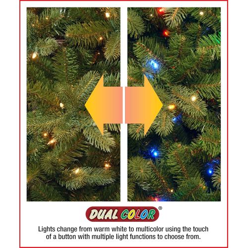  National Tree Company National Tree 30 Inch Kingswood Fir Wreath with 100 Battery Operated Dual LED Lights with Timer (KW7-300D-30WB1)