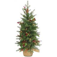 National Tree Company National Tree 3 Foot Feel Real Nordic Spruce Tree Cones, Red Berries 100 Warm White LED Lights Timer in Burlap (PENS1-355-30-B1)