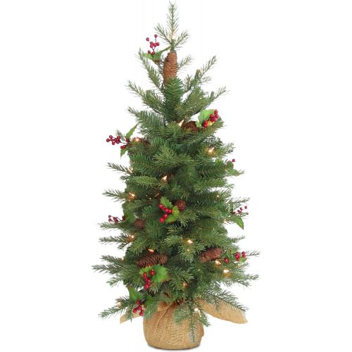  National Tree Company National Tree 3 Foot Feel Real Nordic Spruce Tree Cones, Red Berries 100 Warm White LED Lights Timer in Burlap (PENS1-355-30-B1)
