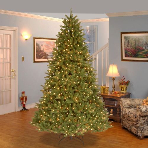  National Tree Company National Tree 7-12 Foot Feel-Real Grande Fir Hinged Tree with 750 Clear Lights (PEGF4-307-75)