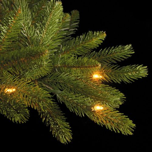  National Tree Company National Tree 7-12 Foot Feel-Real Grande Fir Hinged Tree with 750 Clear Lights (PEGF4-307-75)