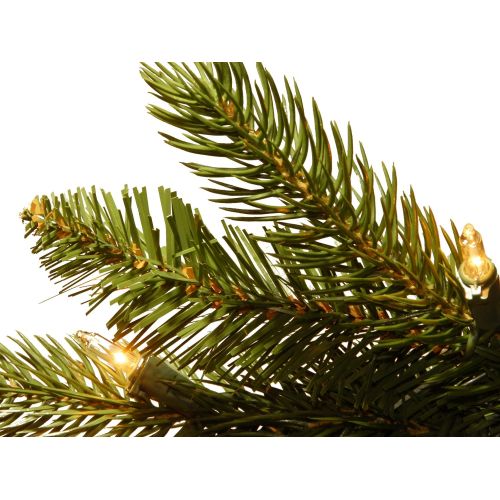  National Tree Company National Tree 7-12 Foot Feel-Real Grande Fir Hinged Tree with 750 Clear Lights (PEGF4-307-75)