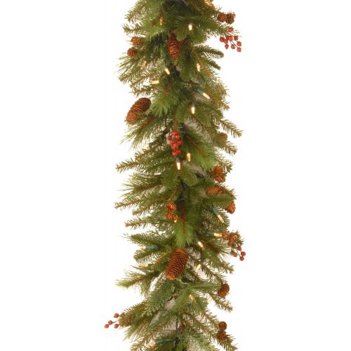  National Tree Company National Tree 6 Foot by 14 Inch Noelle Garland with Cones and 60 Battery Operated Soft White LED Lights (NL13-300L-6B-1)