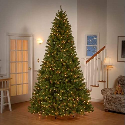  National Tree Company National Tree 4 Foot North Valley Spruce