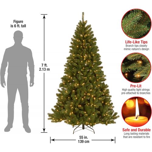  National Tree Company National Tree 4 Foot North Valley Spruce