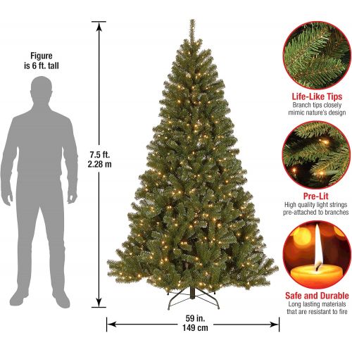  National Tree Company National Tree 4 Foot North Valley Spruce