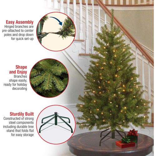  National Tree Company National Tree 4 Foot North Valley Spruce