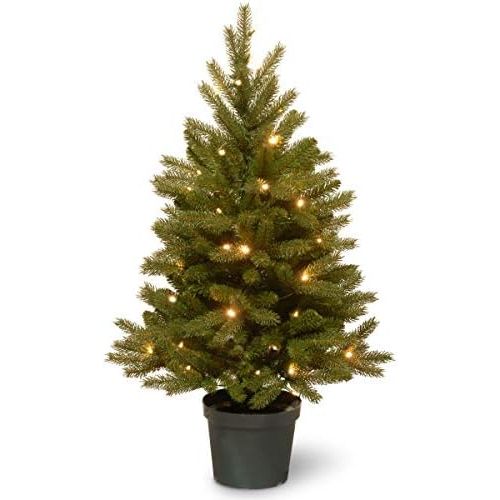  National Tree Company National Tree 3 Foot Feel Real Jersey Frasier Fir Entrance Tree with 35 Warm White Battery Operated LED Lights in Growers Pot (PEJF1-306-30-B)