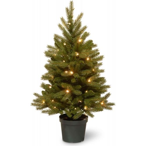  National Tree Company National Tree 3 Foot Feel Real Jersey Frasier Fir Entrance Tree with 35 Warm White Battery Operated LED Lights in Growers Pot (PEJF1-306-30-B)