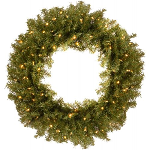  National Tree Company National Tree 36 Inch Norwood Fir Wreath with 100 Battery Operated Dual LED Lights (NF-304D-36W-B1)