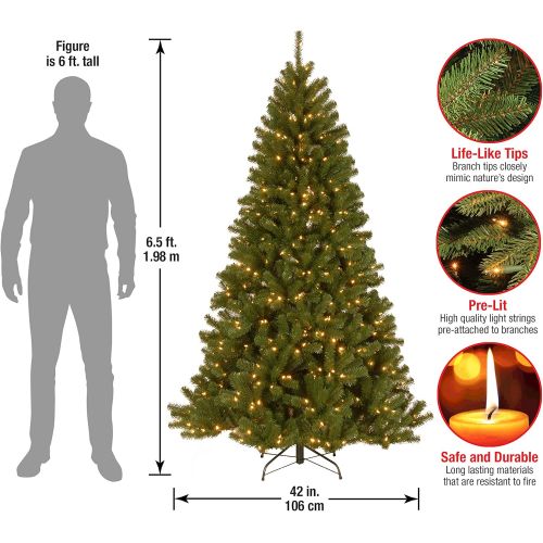  National Tree Company National Tree 7 Foot North Valley Spruce Tree with 500 Clear Lights, Hinged (NRV7-300-70)