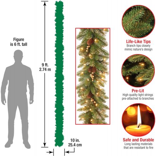  National Tree Company National Tree 9 Foot by 10 Inch Glittery Pine Garland with Gold Berries and 100 Clear Lights (GPG3-341-9A)