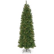 National Tree Company National Tree 7.5 Foot Pennington Fir Pencil Tree with 350 Clear Lights, Hinged (PNG7-300-75)