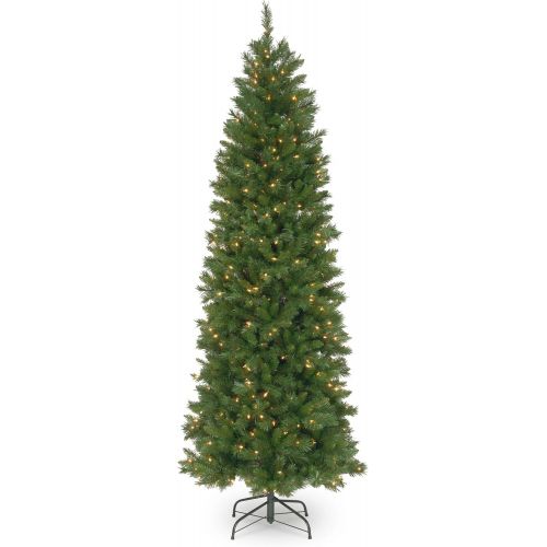  National Tree Company National Tree 7.5 Foot Pennington Fir Pencil Tree with 350 Clear Lights, Hinged (PNG7-300-75)