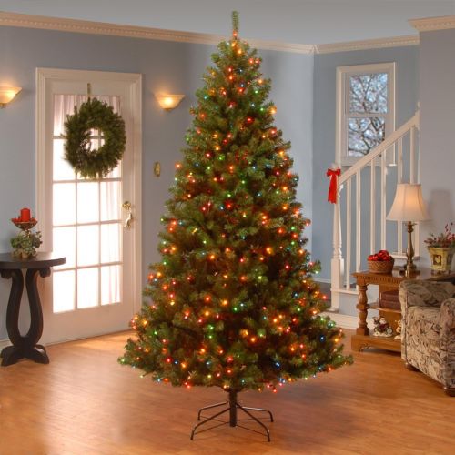  National Tree Company National Tree 9 Foot North Valley Spruce