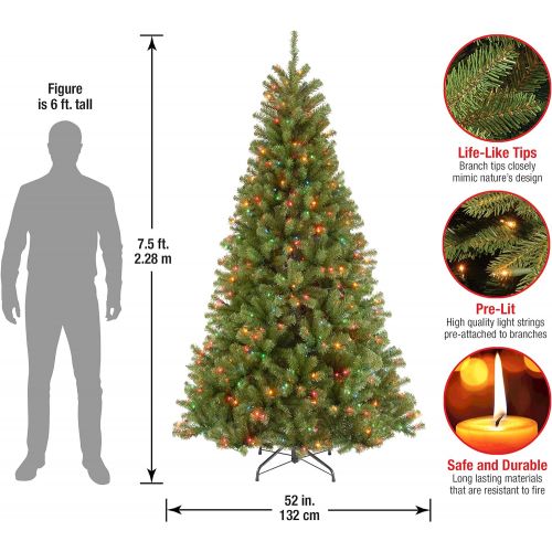  National Tree Company National Tree 9 Foot North Valley Spruce