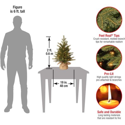  National Tree Company National Tree 4 Foot Feel Real Nordic Spruce Tree with 200 Clear Lights in Burlap Base (PENS1-333-40)