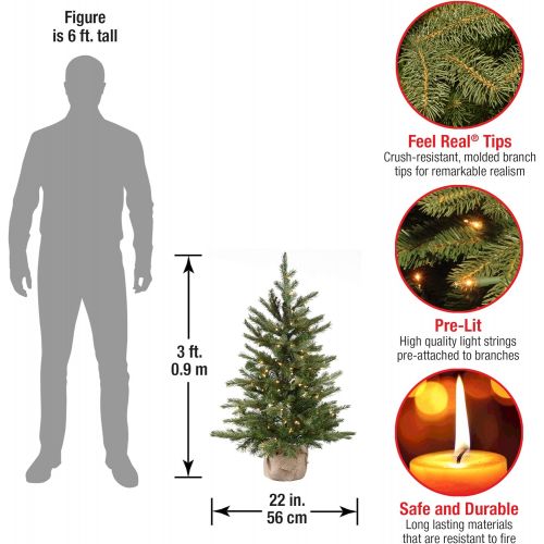  National Tree Company National Tree 4 Foot Feel Real Nordic Spruce Tree with 200 Clear Lights in Burlap Base (PENS1-333-40)