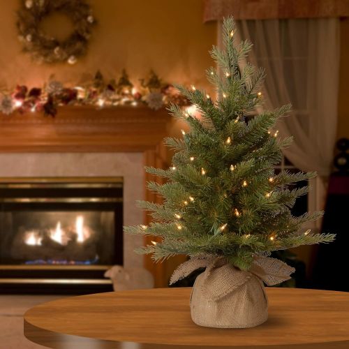  National Tree Company National Tree 4 Foot Feel Real Nordic Spruce Tree with 200 Clear Lights in Burlap Base (PENS1-333-40)