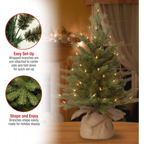  National Tree Company National Tree 4 Foot Feel Real Nordic Spruce Tree with 200 Clear Lights in Burlap Base (PENS1-333-40)