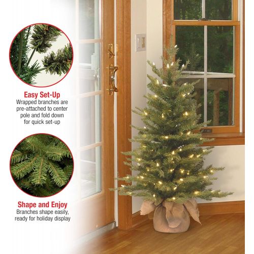  National Tree Company National Tree 4 Foot Feel Real Nordic Spruce Tree with 200 Clear Lights in Burlap Base (PENS1-333-40)