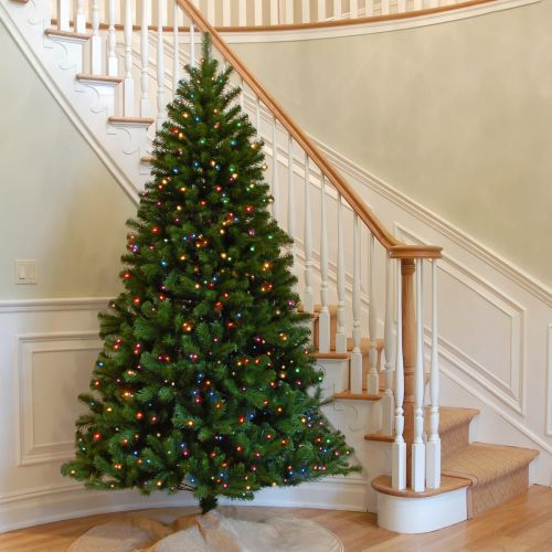  National Tree Company National Tree 4.5 Foot North Valley Spruce