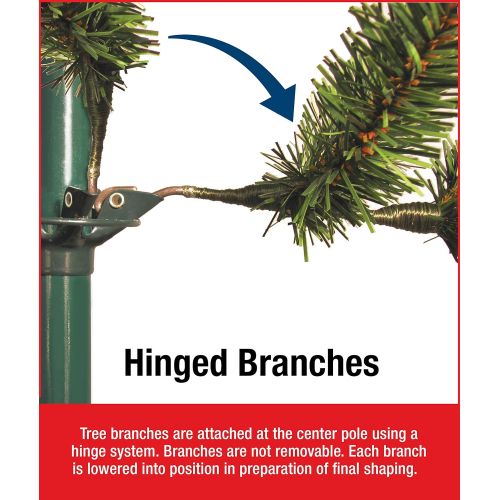  National Tree Company National Tree 7 Foot North Valley Spruce Tree, Hinged (NRV7-500-70)