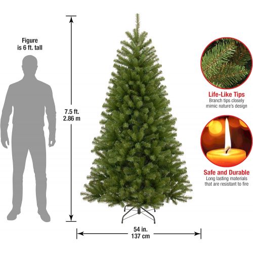  National Tree Company National Tree 7 Foot North Valley Spruce Tree, Hinged (NRV7-500-70)