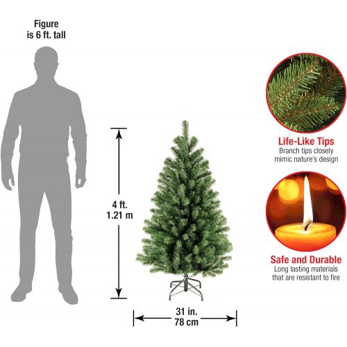  National Tree Company National Tree 7 Foot North Valley Spruce Tree, Hinged (NRV7-500-70)