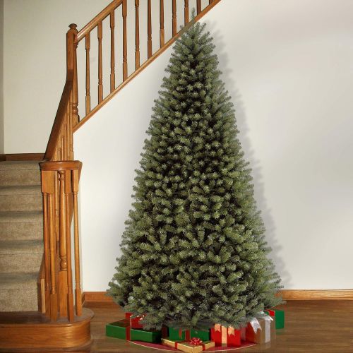  National Tree Company National Tree 7 Foot North Valley Spruce Tree, Hinged (NRV7-500-70)