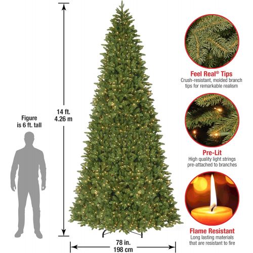  National Tree Company National Tree 14 Foot Feel Real Ridgewood Spruce Slim Tree with 1300 Clear Lights, Hinged (PERG4-315-140)