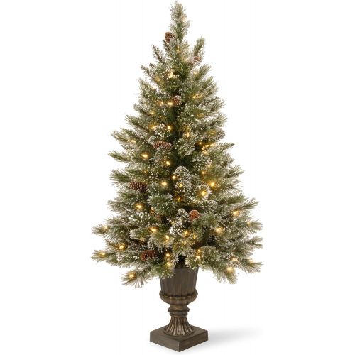  National Tree Company National Tree 4 Foot Glittery Bristle Pine Entrance Tree with White Tipped Cones, Glitter and 100 Clear Lights in Decorative Urn (GB3-306-40)