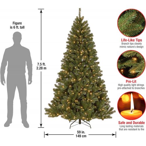  National Tree Company National Tree 6.5 Foot North Valley Spruce Tree with 450 Clear Lights, Hinged (NRV7-300-65)