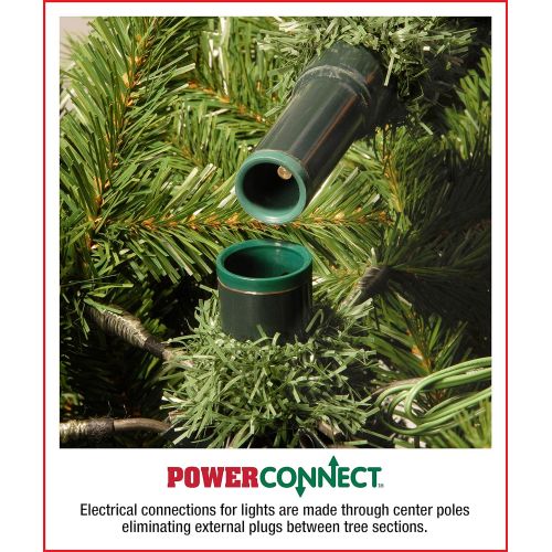  National Tree Company National Tree 7.5 Foot Feel-Real Tiffany Fir Tree with 750 Dual LED Lights and PowerConnect, Hinged (PETF3-D00-75)