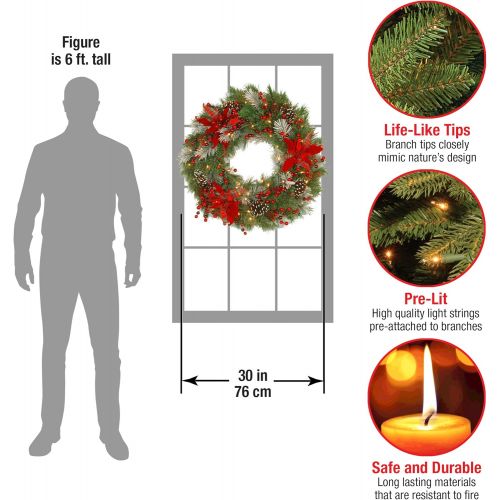  National Tree Company National Tree 24 Inch Decorative Collection Tartan Plaid Wreath with Cones, Red Berries, Poinsettias and 50 Battery Operated Soft White LED Lights with Timer (DC13-147-24WB-1)