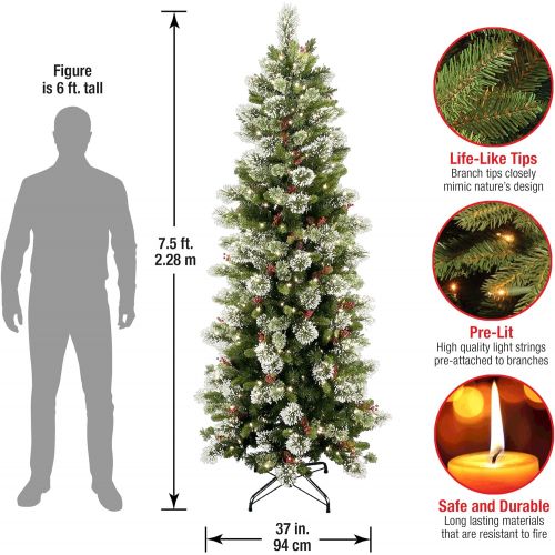  National Tree Company National Tree 7.5 Foot Wintry Pine Slim Tree with 400 Clear Lights, Hinged (WP1-310-75)