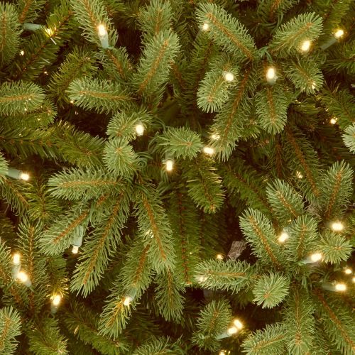  National Tree Company National Tree 9 Foot Feel Real Jersey Frasier Fir Slim Tree with 1000 Clear Lights, Hinged (PEJF1-304-90)