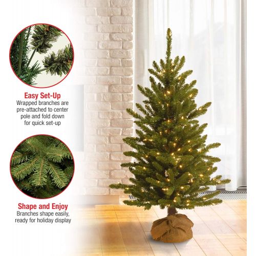  National Tree Company National Tree 4 Foot Kensington Burlap Tree with 150 Clear Lights (KNT3-306-40)