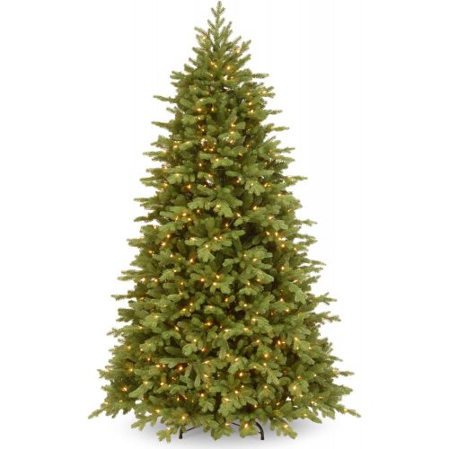  National Tree Company National Tree Princeton Fraser Fir, Green