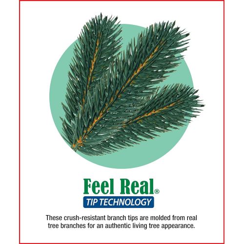  National Tree Company National Tree Princeton Fraser Fir, Green