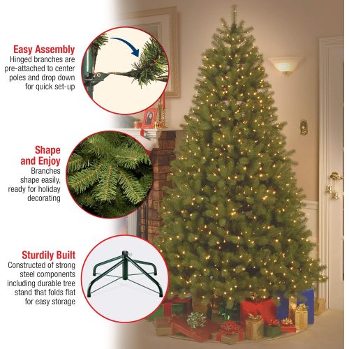  National Tree Company National Tree 6 Foot Feel Real Downswept Douglas Fir Tree with 600 Clear Lights, Hinged (PEDD3-312-60)