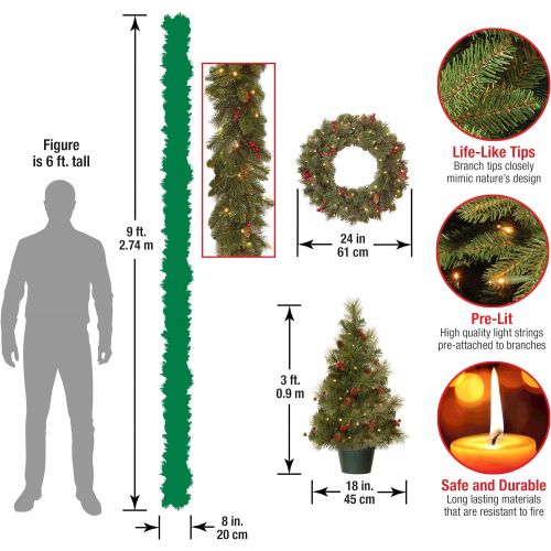  National Tree Company National Tree Holiday Decorating Assortment with 2 3 Foot Entrance Trees, 1 9 Foot by 8 Inch Garland and 1 24 Inch Wreath all with Warm White Battery Operated LED Lights (ED7-PRO-A